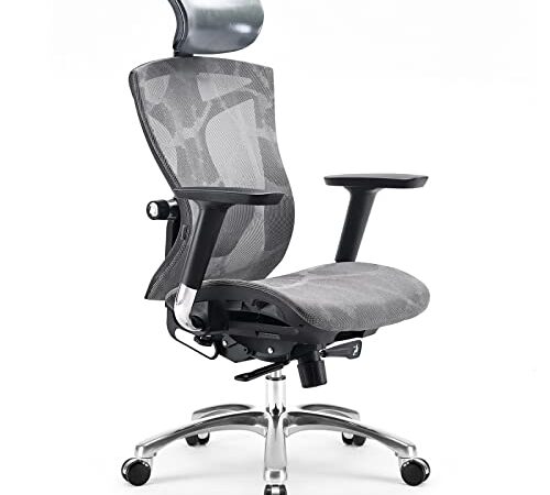 SIHOO Silla de Oficina ergonómica con reposabrazos 4D, Profundidad de Asiento Ajustable, Respaldo de Altura Ajustable, Silla de Escritorio para computadora con Soporte Lumbar (Gris)