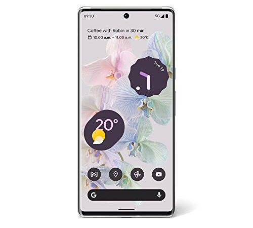 Google Pixel 6 Pro 128GB Weiss Dual SIM