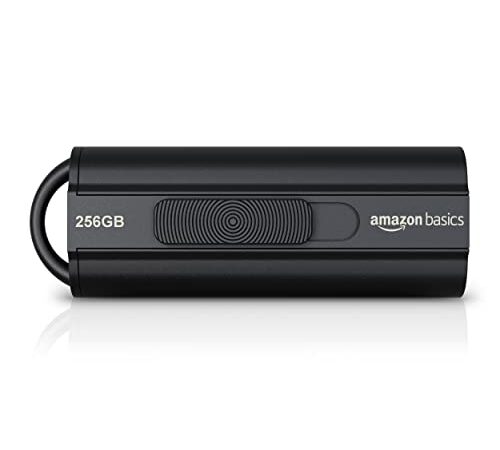 Amazon Basics - Memoria Flash USB 3.1 de 256 GB, velocidad de lectura de hasta 130 MB/s