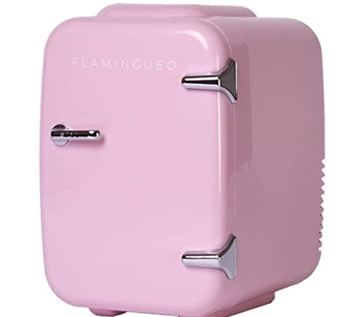 Flamingueo Nevera Pequeña - Mini Nevera 4L, Mini Nevera Portatil 12V/220V, Funcion Enfriar y Calentar, Mini Neveras Para Habitacion, Nevera Minibar, Mini Nevera Electrica, Nevera Oficina, Mini Fridge